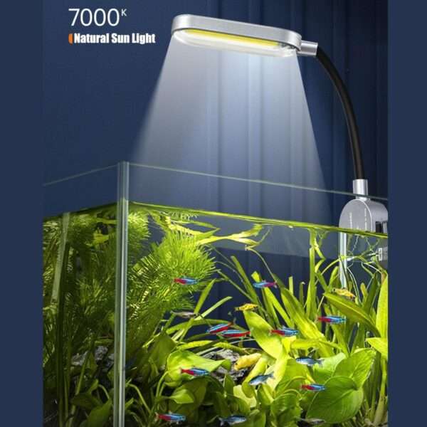 Nano acuario de vidrio (16x16x22 cm) con filtro colgante de 3W, luz LED COB y base. Ideal para aquascaping, peces pequeños y principiantes.