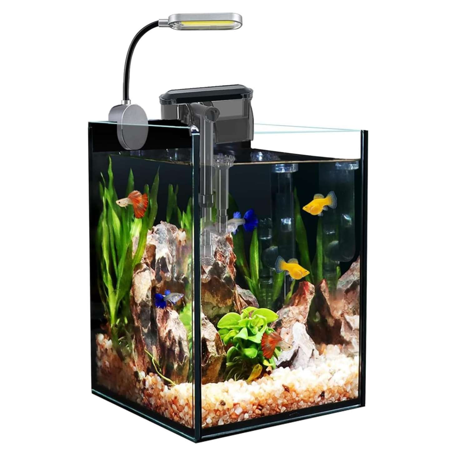 Nano acuario de vidrio (16x16x22 cm) con filtro colgante de 3W, luz LED COB y base. Ideal para aquascaping, peces pequeños y principiantes.