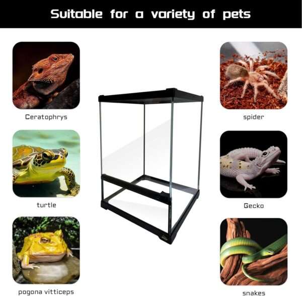 Un mini terrario de vidrio con apertura frontal y malla superior, ideal para reptiles y anfibios pequeños.