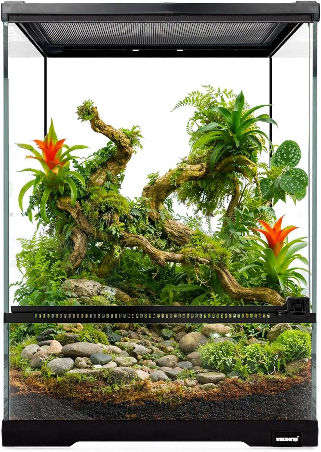 Un mini terrario de vidrio con apertura frontal y malla superior, ideal para reptiles y anfibios pequeños.