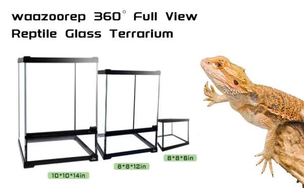 Un mini terrario de vidrio con apertura frontal y malla superior, ideal para reptiles y anfibios pequeños.