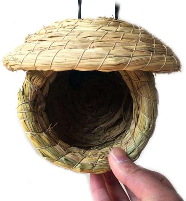 Una cabaña de pájaros de hierba natural tejida a mano, con un diseño de bolsillo, colgada de una rama de árbol para aves pequeñas.