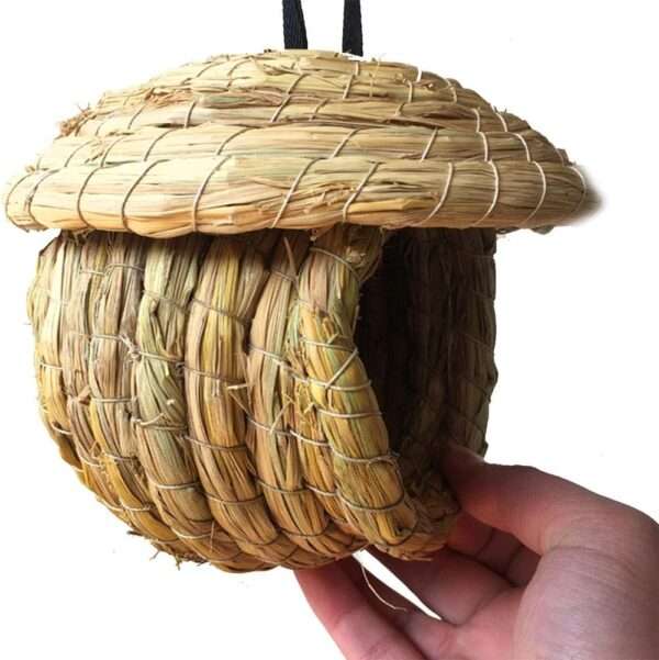 Una cabaña de pájaros de hierba natural tejida a mano, con un diseño de bolsillo, colgada de una rama de árbol para aves pequeñas.