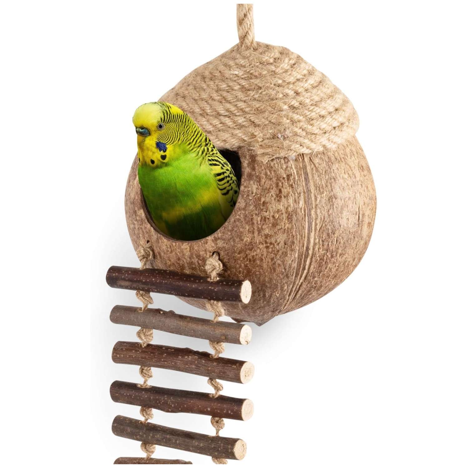 Nido de coco natural y juguete con escalera.