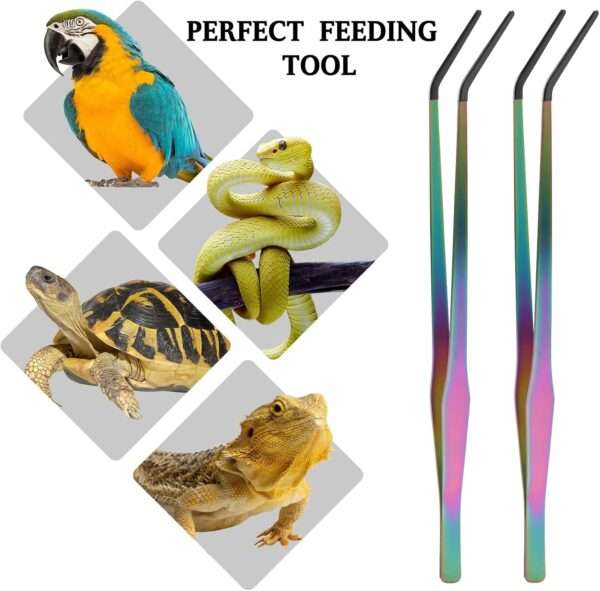 Pinzas de alimentación extra largas (38 cm) con puntas de goma para reptiles, seguras e higiénicas.