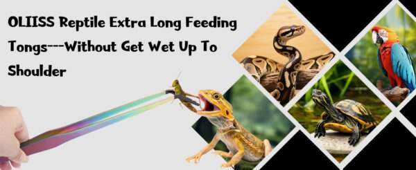 Pinzas de alimentación extra largas (38 cm) con puntas de goma para reptiles, seguras e higiénicas.