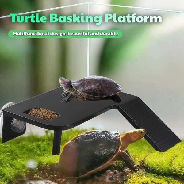 Plataforma flotante reforzada para tortugas, con ventosas dobles fuertes, rampa antideslizante y comedero integrado.