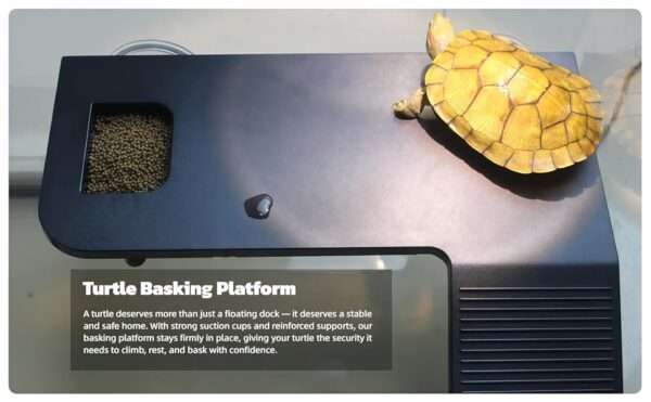 Plataforma flotante reforzada para tortugas, con ventosas dobles fuertes, rampa antideslizante y comedero integrado.