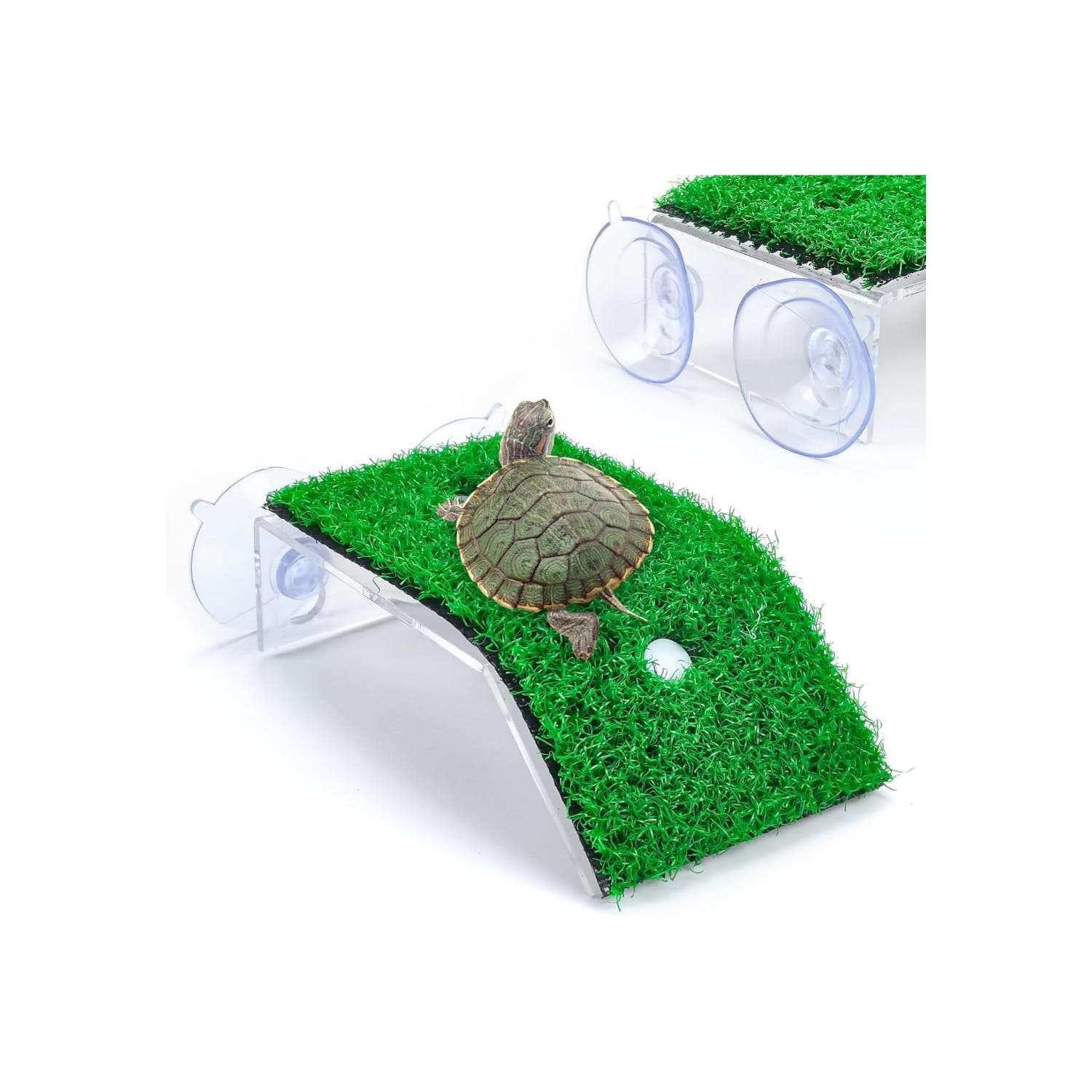 Plataforma de acrílico para tortugas, con rampa de césped artificial antideslizante y 4 ventosas de sujeción.