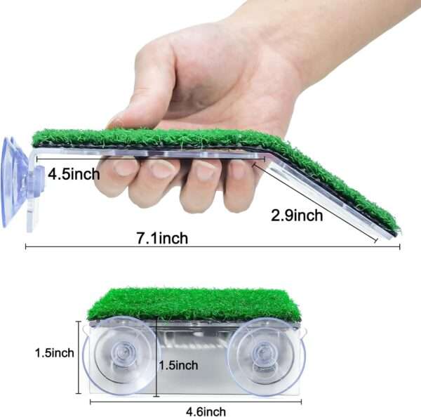 Plataforma de acrílico para tortugas, con rampa de césped artificial antideslizante y 4 ventosas de sujeción.