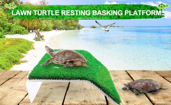 Plataforma de acrílico para tortugas, con rampa de césped artificial antideslizante y 4 ventosas de sujeción.
