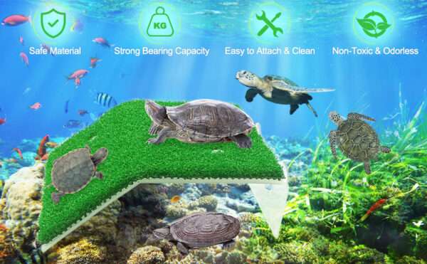 Plataforma de acrílico para tortugas, con rampa de césped artificial antideslizante y 4 ventosas de sujeción.