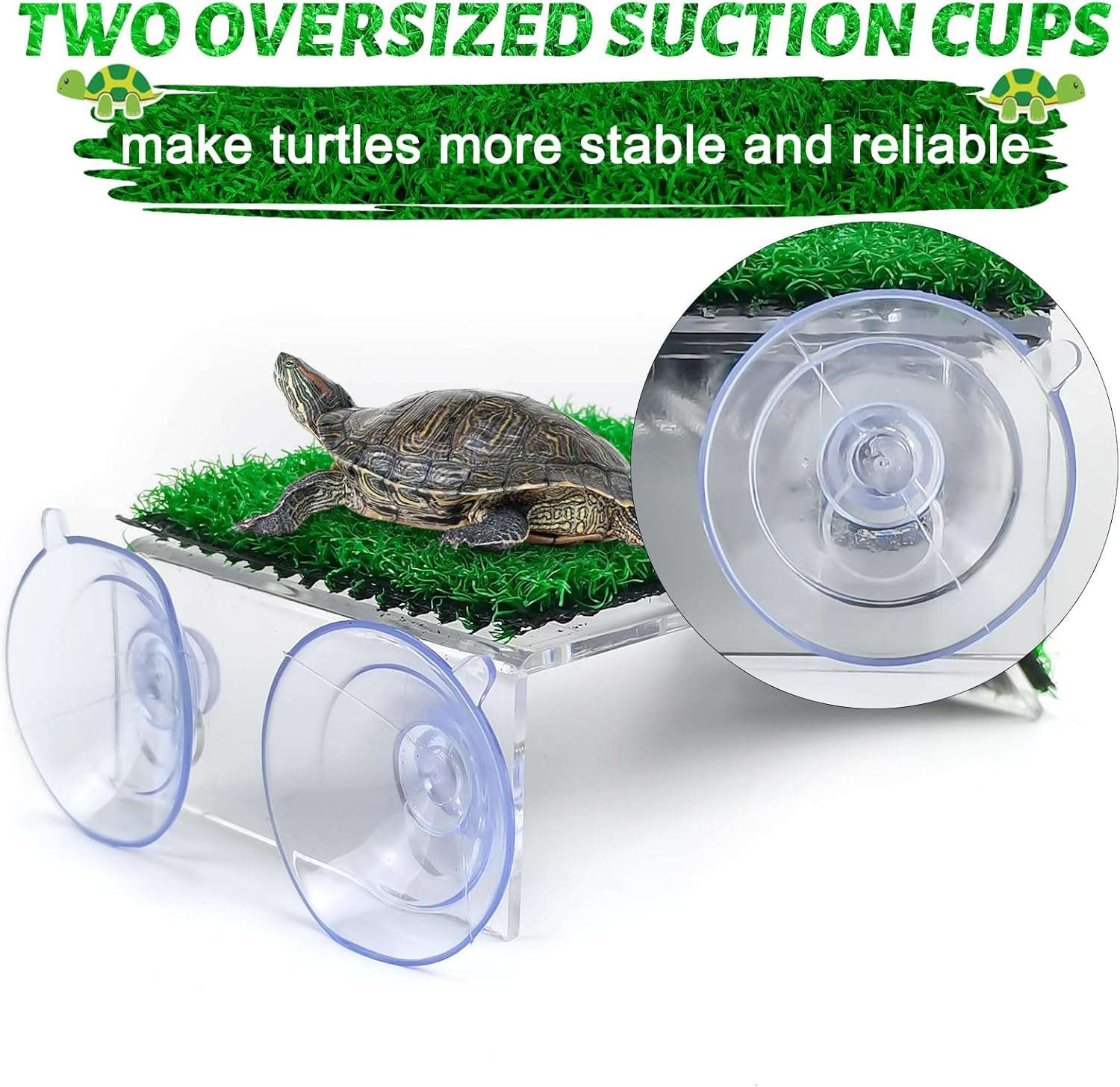 Plataforma de acrílico para tortugas, con rampa de césped artificial antideslizante y 4 ventosas de sujeción.