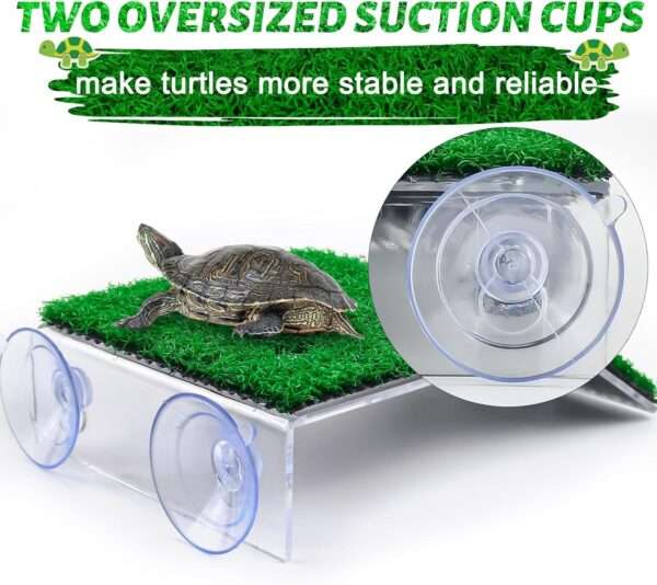 Plataforma de acrílico para tortugas, con rampa de césped artificial antideslizante y 4 ventosas de sujeción.