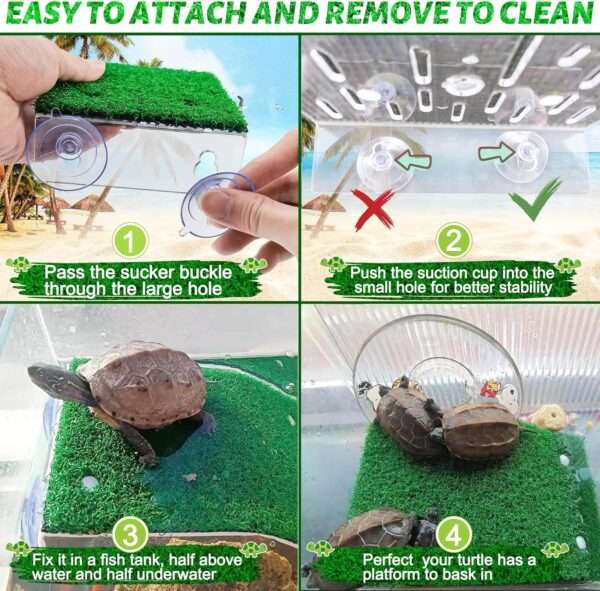Plataforma de acrílico para tortugas, con rampa de césped artificial antideslizante y 4 ventosas de sujeción.
