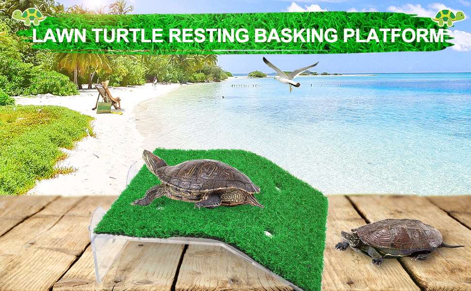 Plataforma de acrílico para tortugas, con rampa de césped artificial antideslizante y 4 ventosas de sujeción.