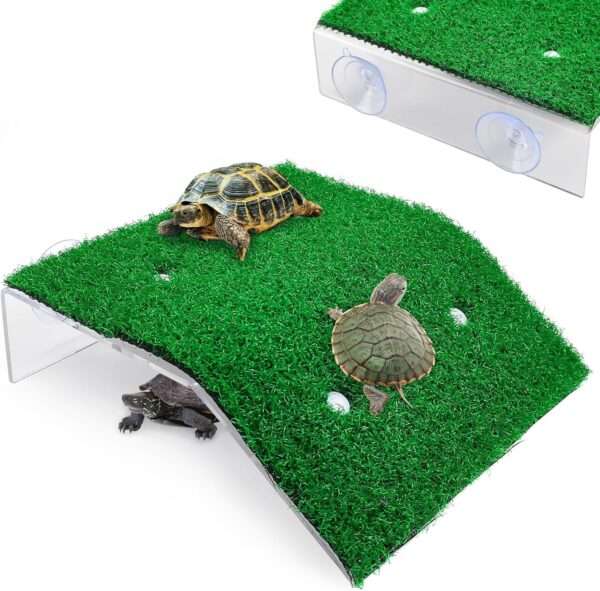 Plataforma de acrílico para tortugas, con rampa de césped artificial antideslizante y 4 ventosas de sujeción.