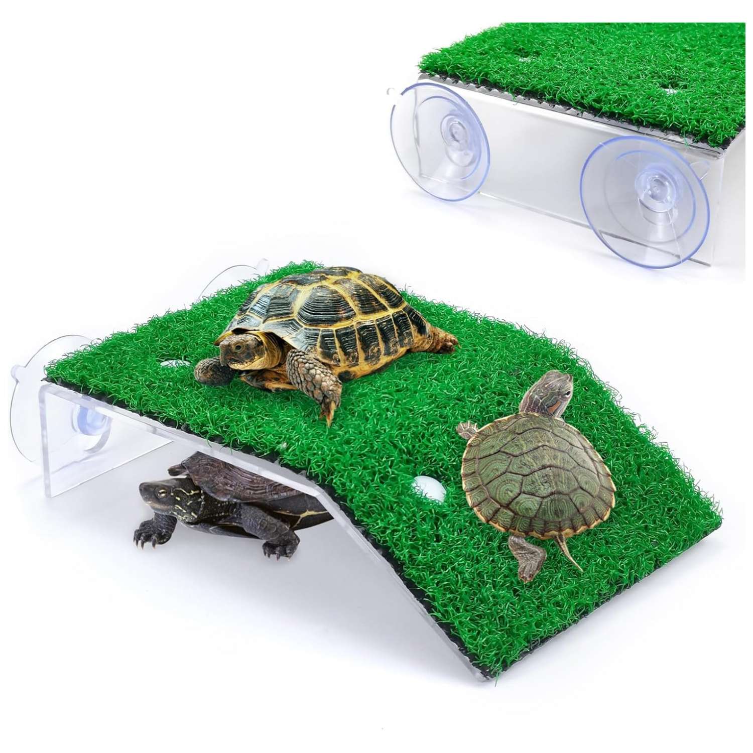 Plataforma de acrílico para tortugas, con rampa de césped artificial antideslizante y 4 ventosas de sujeción.