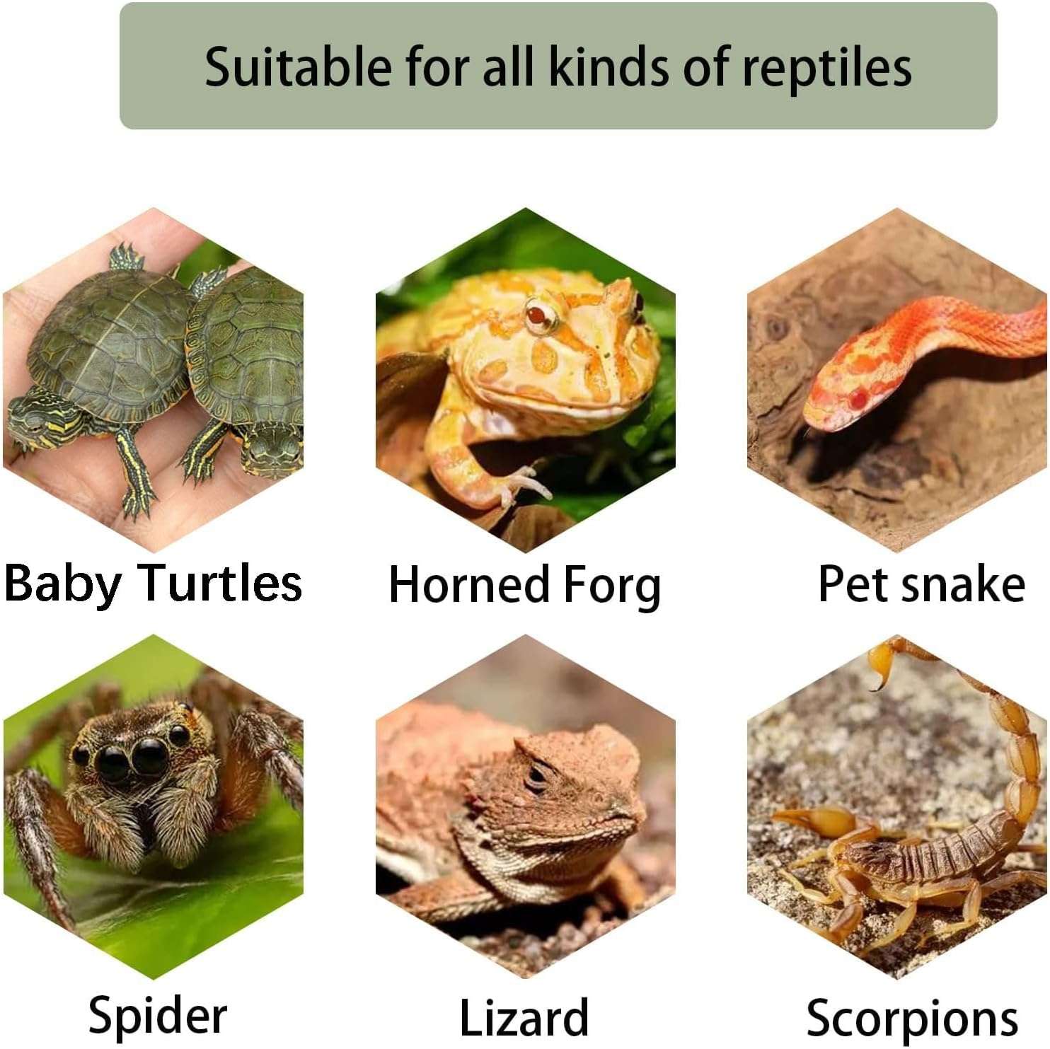 Plataforma de resina con diseño de roca natural para tortugas, que incluye una rampa de ejercicio y un área para tomar el sol.
