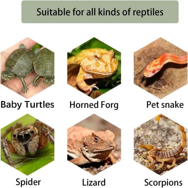 Plataforma de resina con diseño de roca natural para tortugas, que incluye una rampa de ejercicio y un área para tomar el sol.