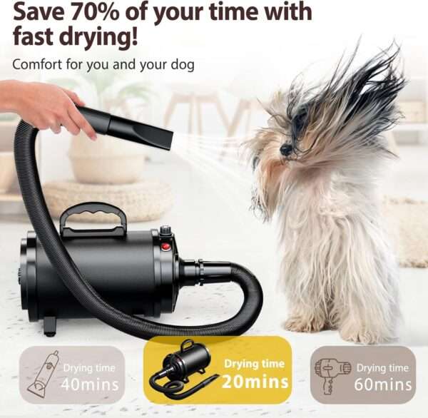 Secador de pelo profesional para perros grandes de 3800W con kit de 4 boquillas y cepillo.