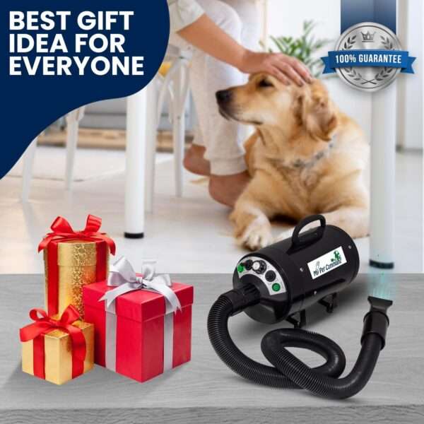 Secador profesional para perros de 2800W, ultra silencioso con kit de accesorios.