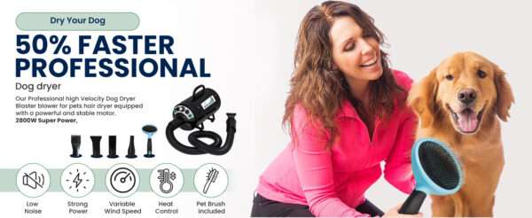 Secador profesional para perros de 2800W, ultra silencioso con kit de accesorios.