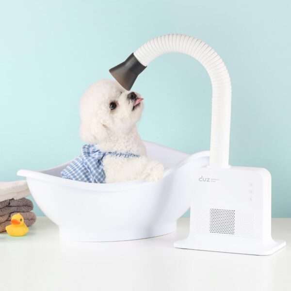Secador de pelo manos libres para perros, profesional, con bajo consumo energético.