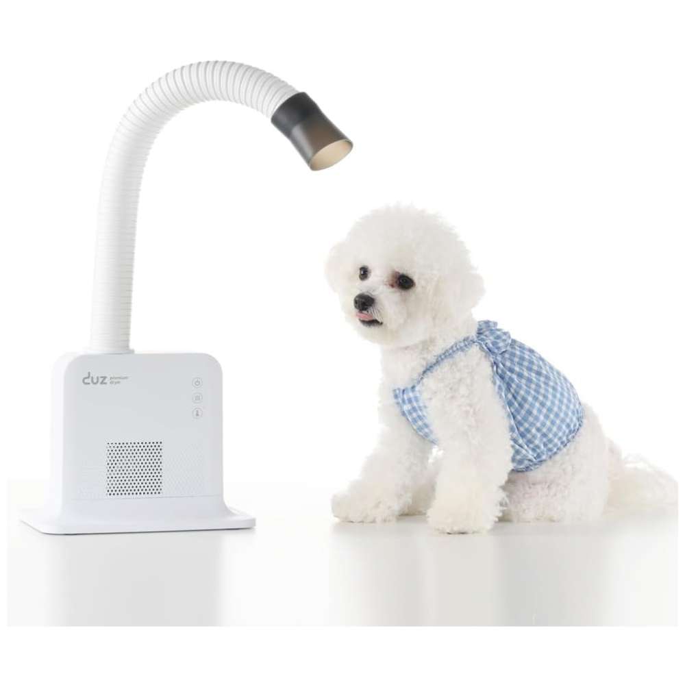 Secador de pelo manos libres para perros, profesional, con bajo consumo energético.
