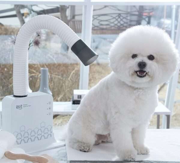 Secador profesional para mascotas de 900W, manos libres y con boquillas.