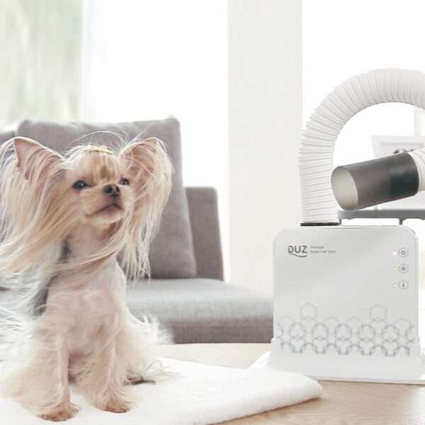 Secador profesional para mascotas de 900W, manos libres y con boquillas.