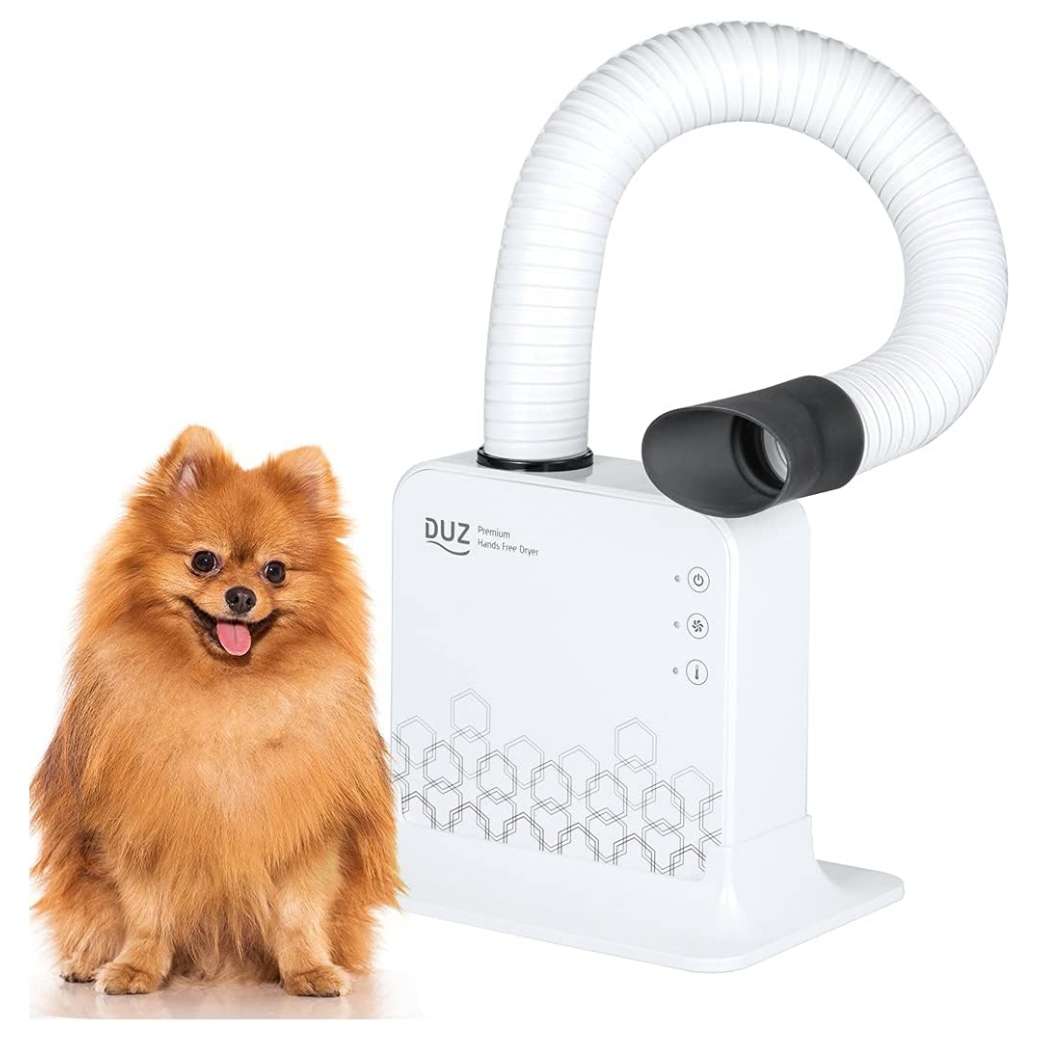 Secador profesional para mascotas de 900W, manos libres y con boquillas.