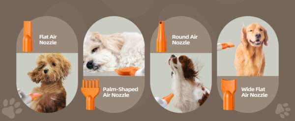 Secador de pelo profesional para mascotas, de alta velocidad y potencia.