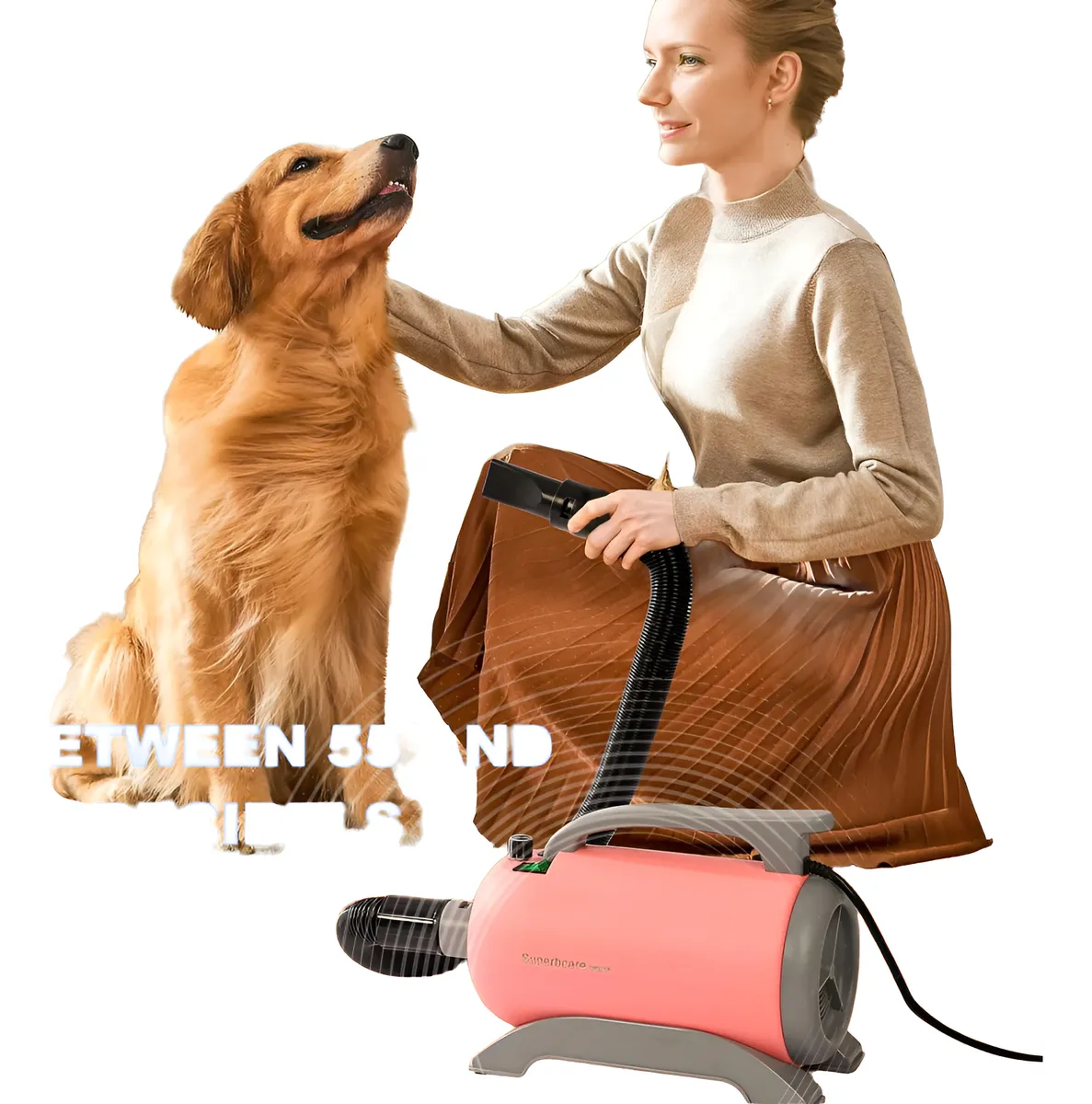Secador de pelo profesional para mascotas, potente 2800 W y 4 boquillas.