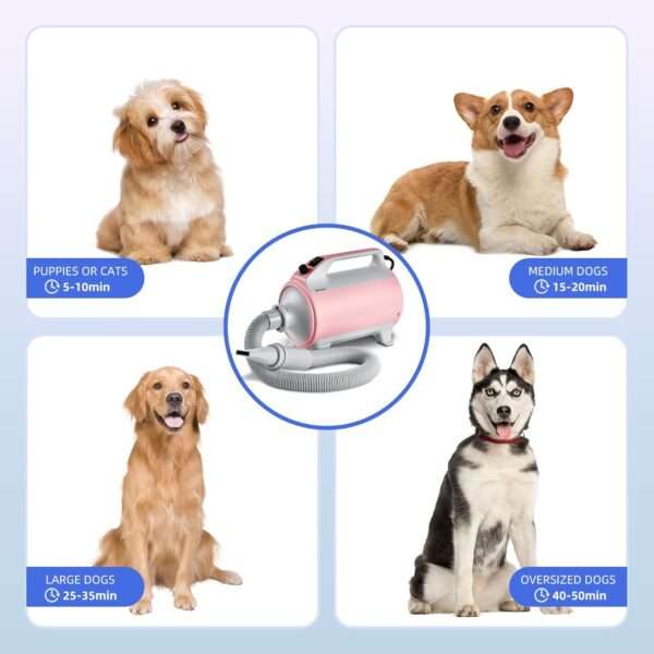 Secador de pelo profesional para mascotas, potente 2800 W y 4 boquillas.