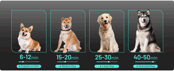 Secador de pelo profesional para mascotas, potente 3800 W y 4 boquillas.