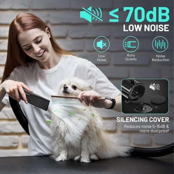 Secador de pelo profesional para mascotas, potente 3800 W y 4 boquillas.