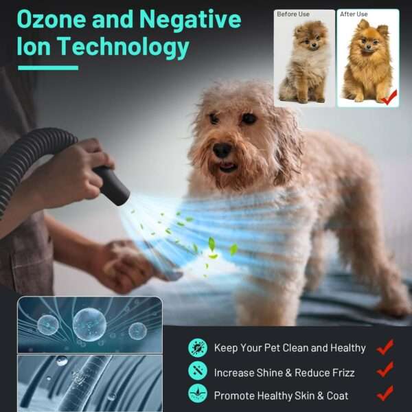 Secador de pelo profesional para mascotas, potente 3800 W y 4 boquillas.