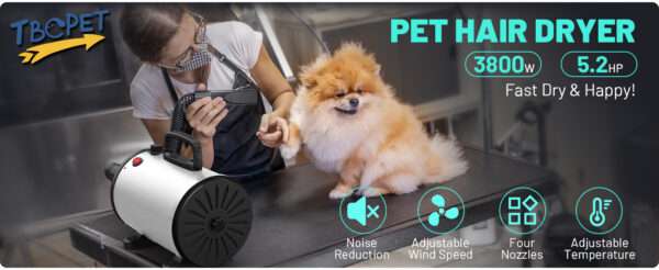 Secador de pelo profesional para mascotas, potente 3800 W y 4 boquillas.
