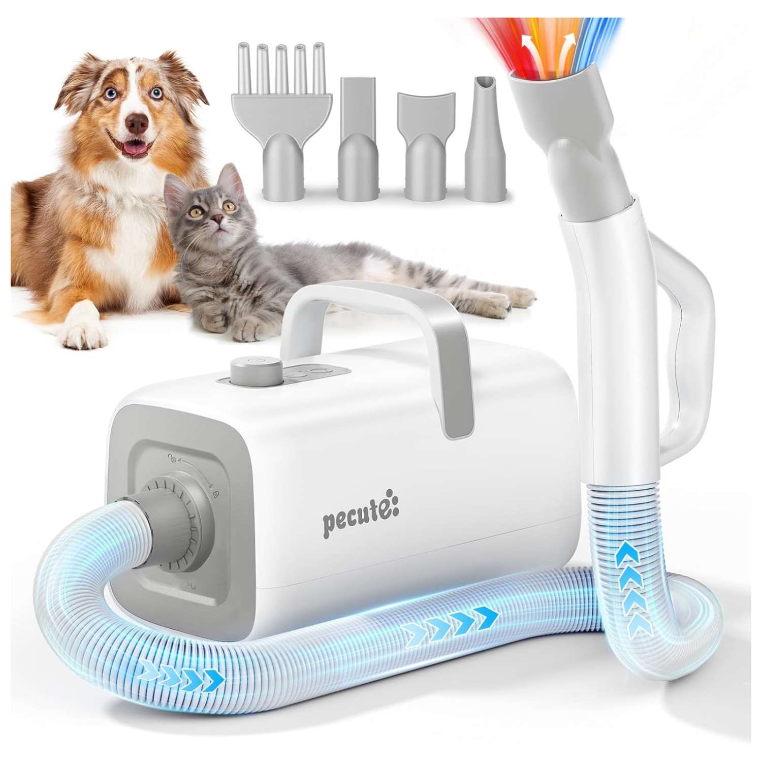 Secador de pelo profesional para mascotas de alta velocidad, con boquillas y flujo de aire frío/caliente.