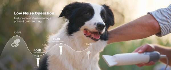 Secador de pelo y cepillo 2 en 1 para mascotas, profesional y portátil para perros y gatos.