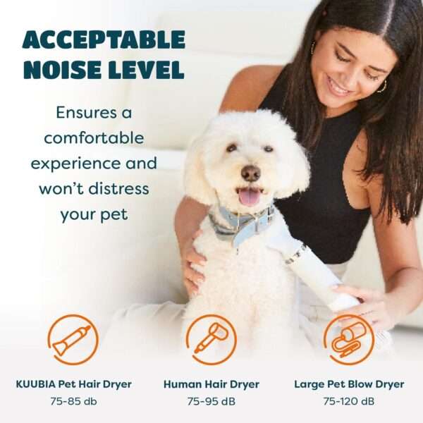 Secador de pelo y cepillo 5 en 1 para mascotas, con control de temperatura inteligente para perros y gatos.
