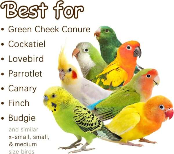 Set de 5 juguetes naturales para loros.