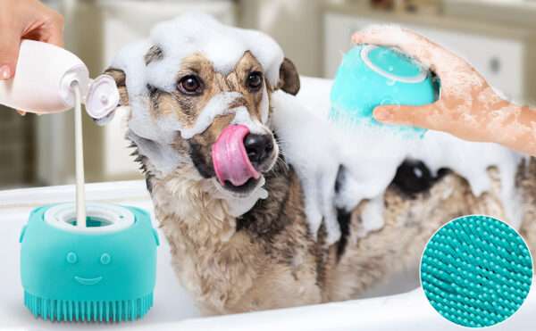Kit de 6 cepillos de aseo para perros y gatos. Incluye cepillo de baño y cepillo de dientes.