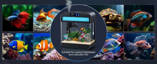 Acuario inteligente 4 en 1 de vidrio flotado HD. Incluye humidificador de aromaterapia de 3 modos, sensor de temperatura en tiempo real, bomba silenciosa y luz LED de 7 colores.