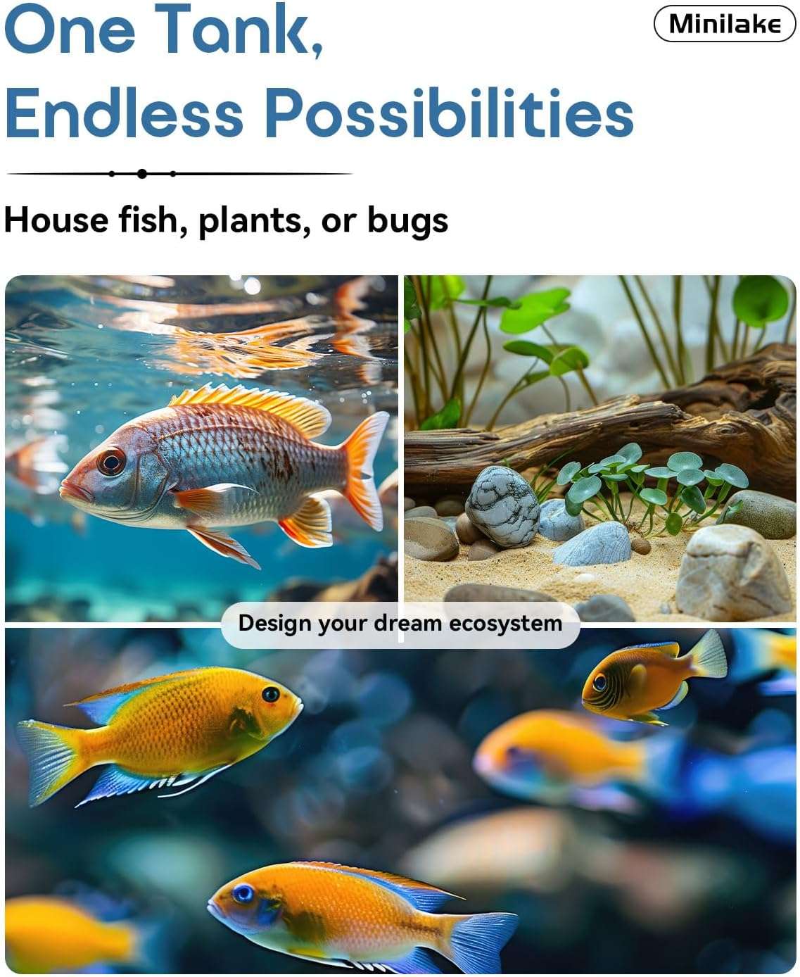 Acuario de vidrio ultra transparente (30x16x22 cm) con 91.2% de transmitancia. Diseño elegante con panel y sellos negros. Incluye filtro, luz LED y tapa ajustable.
