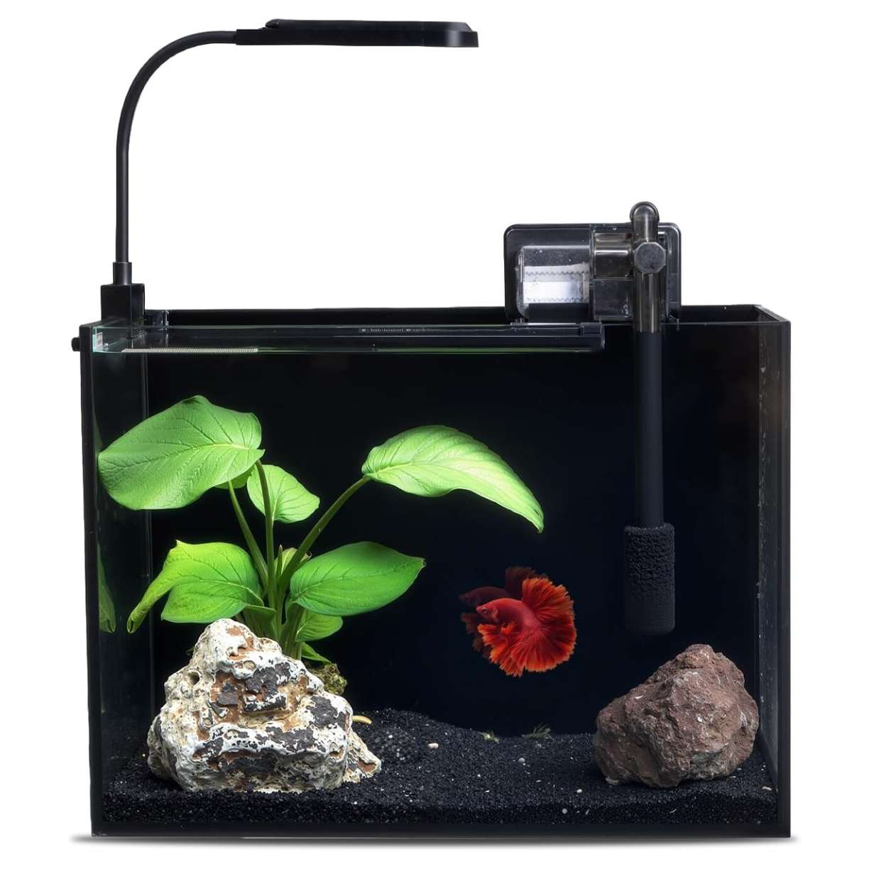 Acuario de vidrio ultra transparente (30x16x22 cm) con 91.2% de transmitancia. Diseño elegante con panel y sellos negros. Incluye filtro, luz LED y tapa ajustable.
