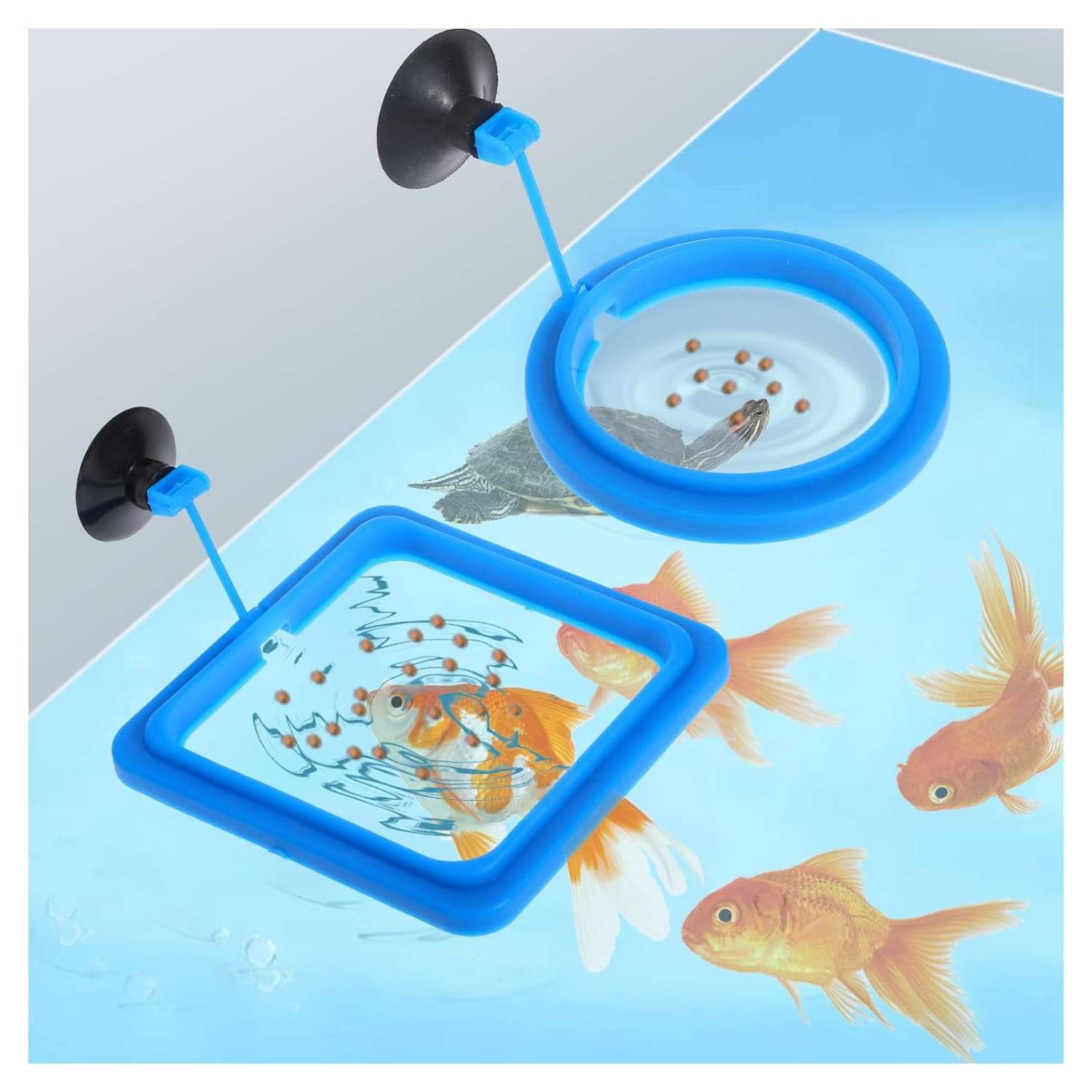 Anillo de alimentación flotante redondo o cuadrado para acuario. Fabricado en goma PVC no tóxica, con ventosa de fijación y enlace flexible que se ajusta automáticamente al nivel del agua