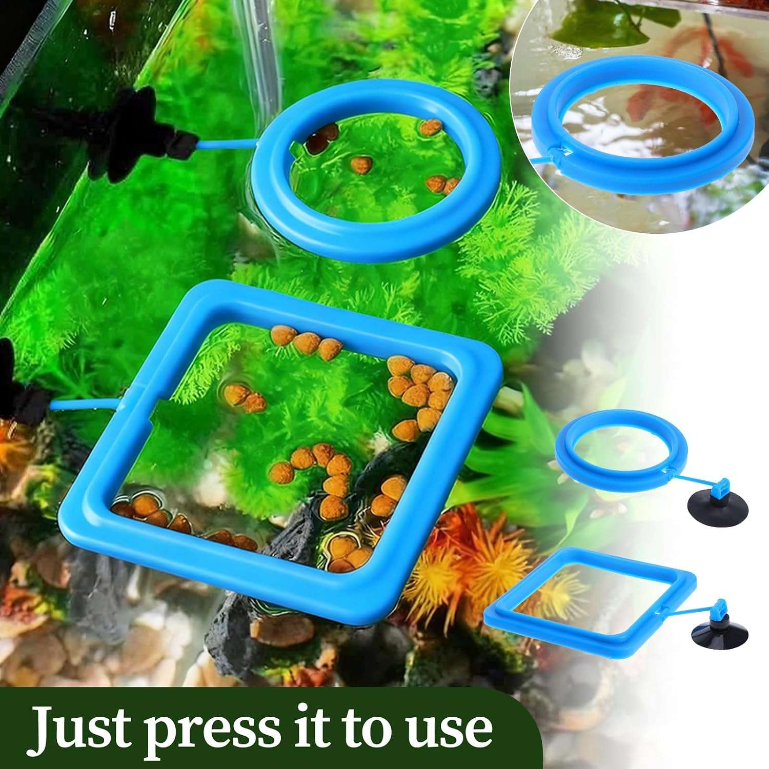 Anillo de alimentación flotante redondo o cuadrado para acuario. Fabricado en goma PVC no tóxica, con ventosa de fijación y enlace flexible que se ajusta automáticamente al nivel del agua