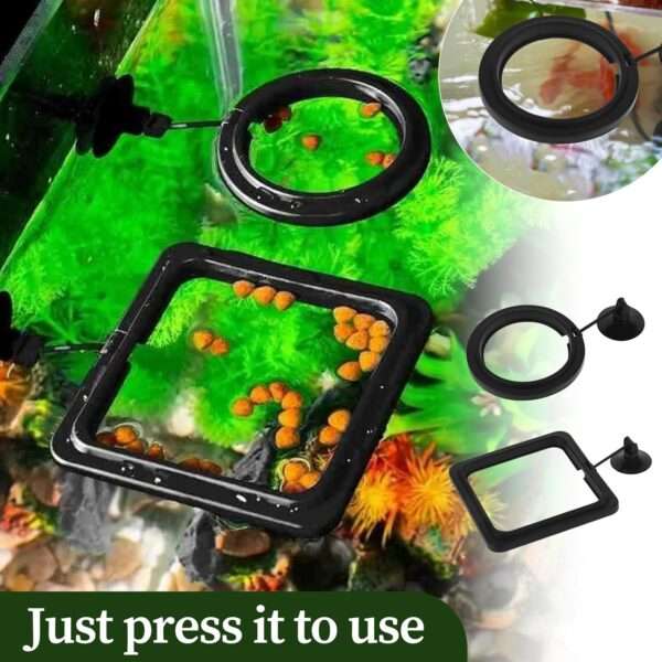 Anillo de alimentación flotante redondo o cuadrado para acuario. Fabricado en goma PVC no tóxica, con ventosa de fijación y enlace flexible que se ajusta automáticamente al nivel del agua.